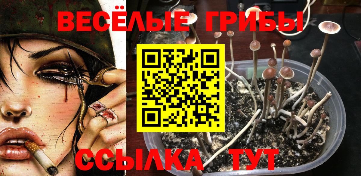 Галлюциногенные грибы Psilocybine cubensis  Вход с VPN  Галлюциногенные грибы Psilocybe  Самара 